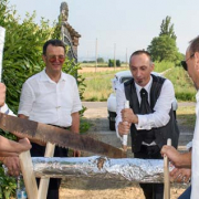 Taglio del tronchi degli sposi