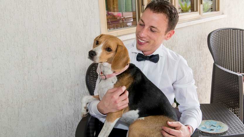 Cagnina Beagle Zumba in braccio al padrone sposo