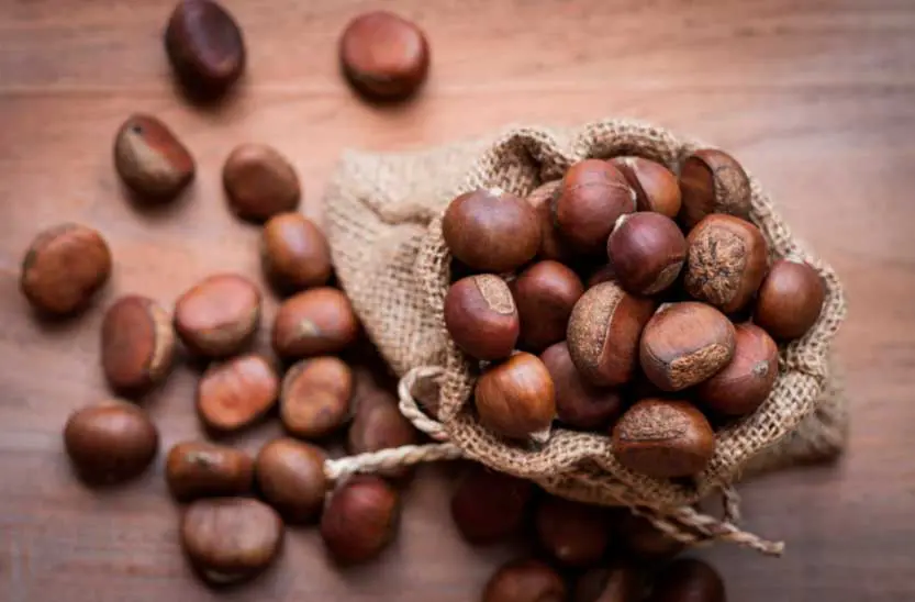 castagne-nome-del-frutto-che-da-origine-al-nome-del-colore