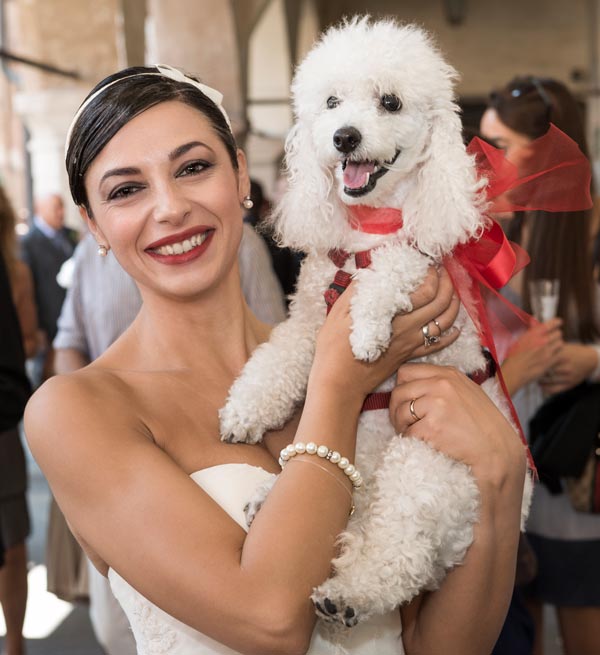 Foto di matrimonio la sposa e la sua barboncina