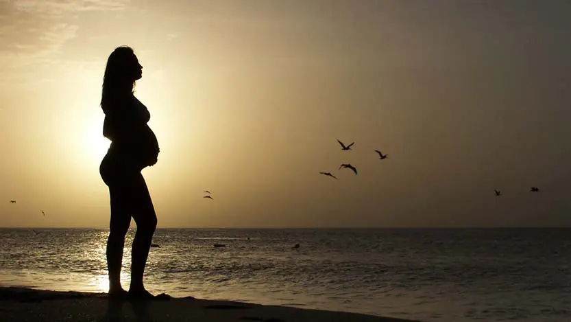 Siluette di donna con il pancione al mare al tramonto