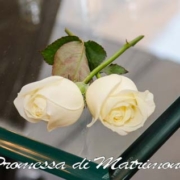 Promessi di matrimonio rose bianche sul tavolo di cristallo