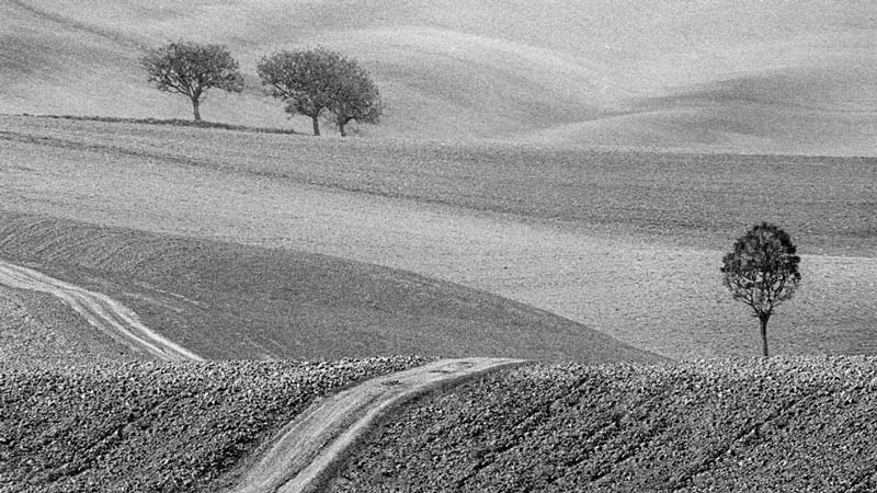Paesaggio senese