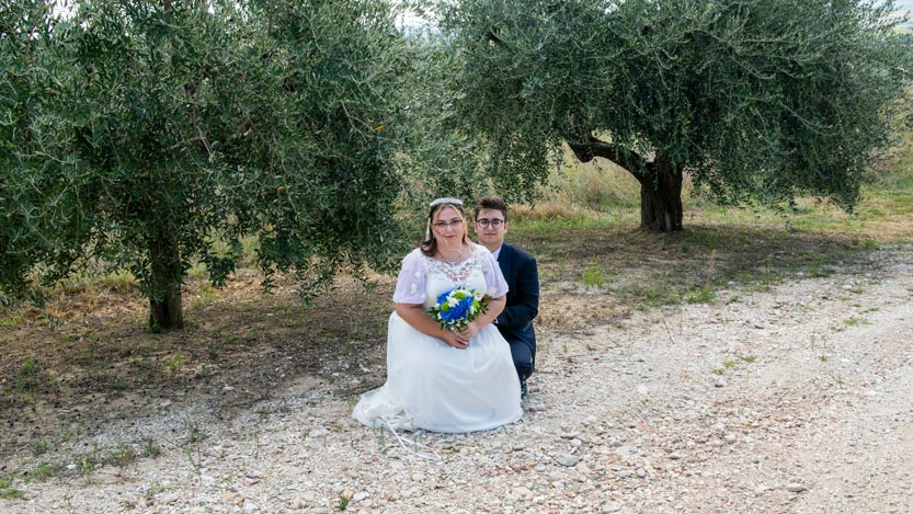 Sposi in un uliveto 