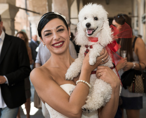 Sposa con in braccio una barboncina