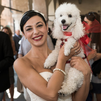 Sposa-tiene-in-braccio-barboncina